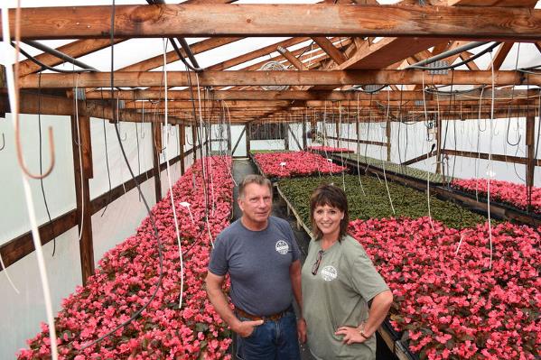 30 years of experience teaches Casto's Greenhouses owners to always remember their roots